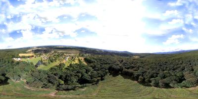 Bois d'Offemont
